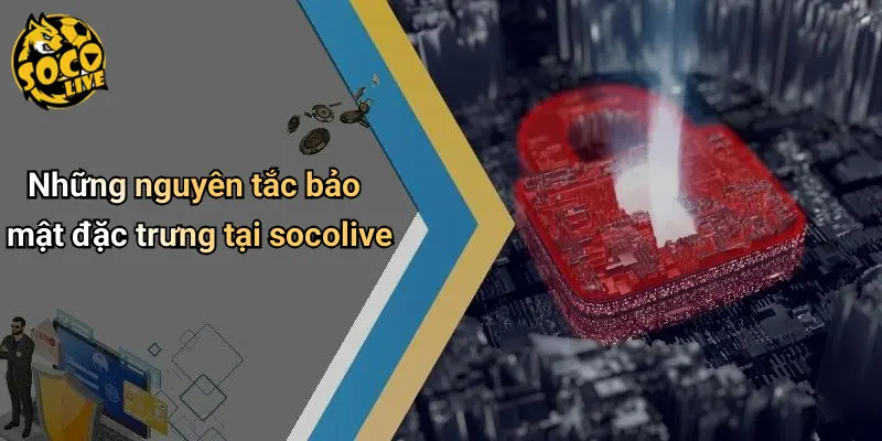 Chính Sách Bảo Mật