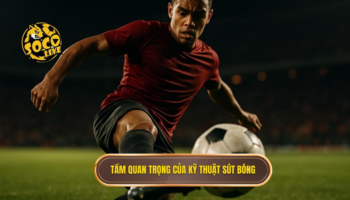 Kỹ thuật sút bóng bằng mu bàn chân: Phân tích chuyên sâu từ Corgi Group 1 Tầm quan trọng của Kỹ thuật sút bóng bằng mu bàn chân