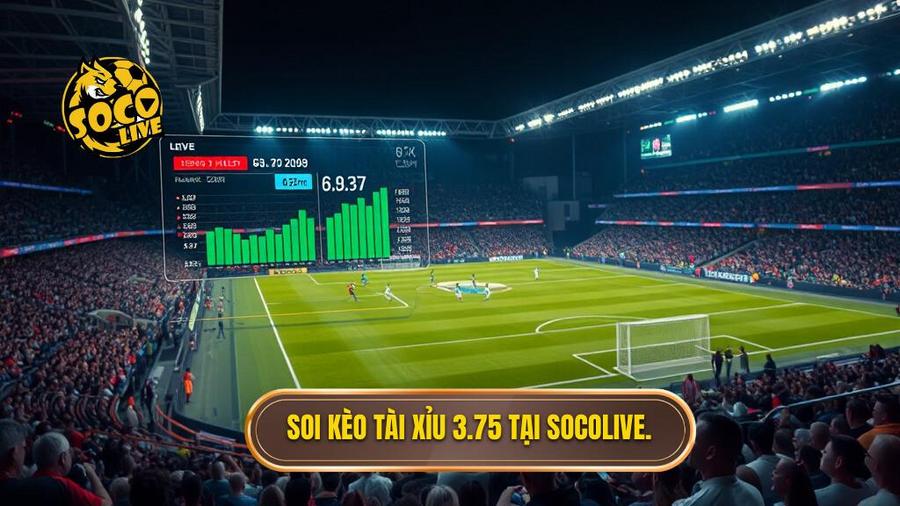 Tại sao nên chọn SOCOLIVE để tham khảo kèo tài xỉu 3.75 hiệp 2?