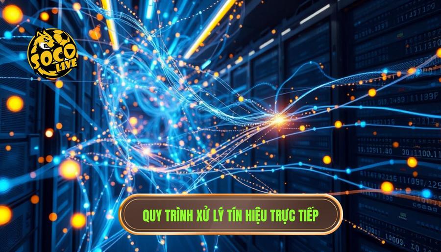 Socolive hoạt động như thế nào? Tìm hiểu chi tiết về nền tảng trực tiếp bóng đá hàng đầu 2 Quy trình xử lý tín hiệu và nội dung trực tiếp