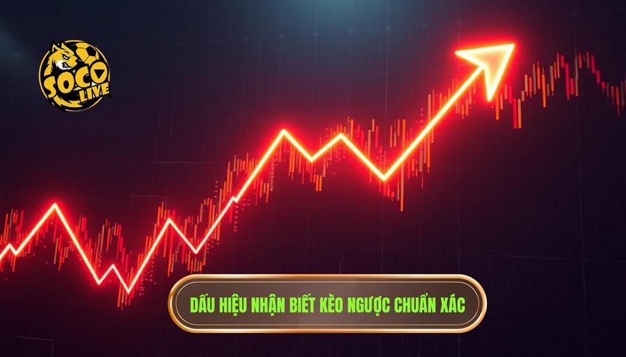 Kinh nghiệm bắt kèo ngược đám đông: Nghệ thuật tư duy ngược trong cá độ bóng đá 3 Dấu hiệu nhận biết thời điểm cần bắt kèo ngược