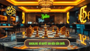 Khi nào nên theo cửa dưới? Kinh nghiệm soi kèo "về bờ" an toàn cho bet thủ